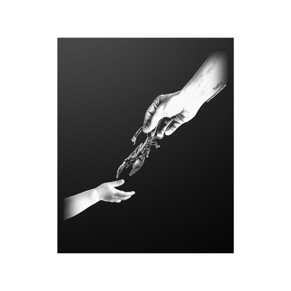 The Scorpion by The Wounded Society Poster Prints (210gsm)